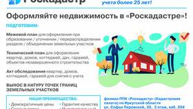 Что дает выписка из реестра ТС ФГИС в SELA