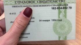 Что можно сделать по СНИЛС в SELA