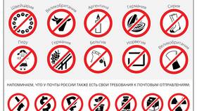 Что нельзя отправлять в армию: запрещенные посылки в SELA