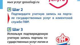Что такое Пенсионный фонд в SELA