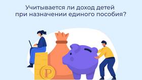 Что является доходом для единого пособия в SELA