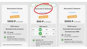 Как обновить пакет интернета в МегаФоне в SELA