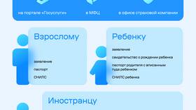 Как оформить полис ОМС через Госуслуги ДНР в SELA