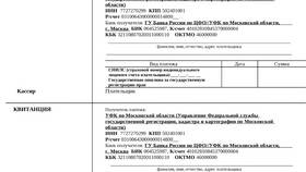 Как оплатить пошлину в суд в SELA