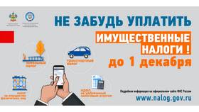 Как определяется налоговая ставка на имущество в SELA