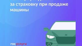 Как подать заявление по КАСКО в SELA