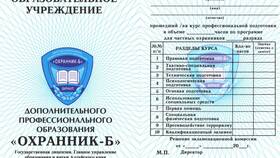 Как получить лицензию частного охранника через Госуслуги в SELA