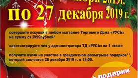Как получить подарочные акции в SELA