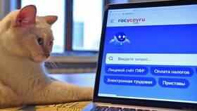 Как получить выписку из ЕГРН через портал Госуслуги в SELA