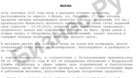 Как правильно написать жалобу в страховую компанию в SELA