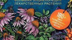 Как растения используют кислоты в своей жизнедеятельности в SELA