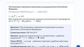 Как снять запрет на вылет из России в SELA
