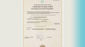 Как узнать место работы по ИНН в SELA
