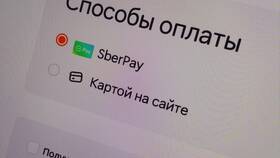 Почему в Dodo Pizza нельзя оплатить картой в SELA