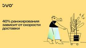 Почему завис Валберис в SELA