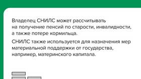СНИЛС: расшифровка и назначение в SELA