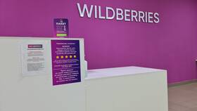 Wildberries как юридическое лицо в SELA