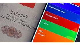 Зачем ИНН в паспорте в SELA