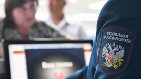 Зачем нужно подавать декларацию в SELA