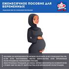 Как начисляют выплаты по беременности