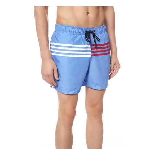 Шорты мужские Tommy Hilfiger UM0UM00665 синие XL в SELA